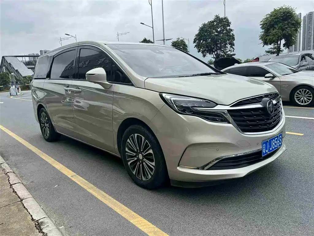 Buick GL8 2021 ES Landlord 653T Luxury фото 3
