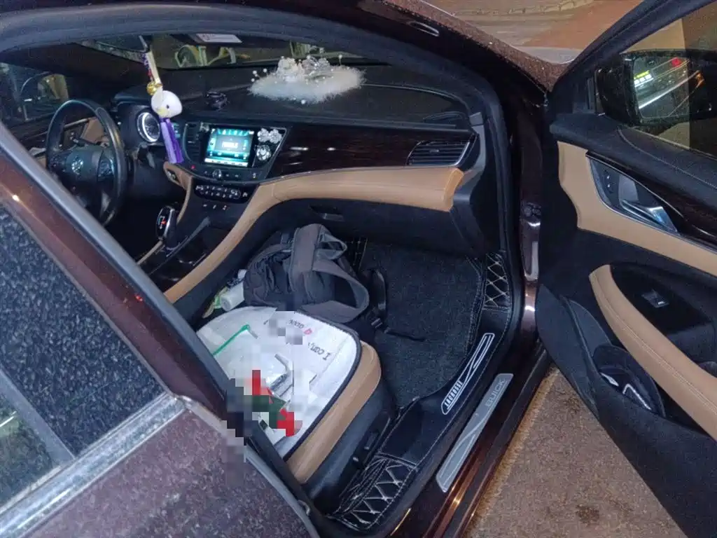 Buick LaCrosse 2016 20T Elite Type фото 19