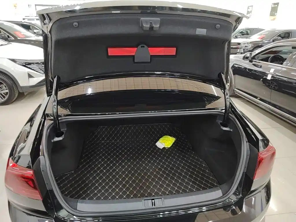 Volkswagen Magotan 2025 2026 Model 30 Million Special Selection 380TSI DSG Luxury