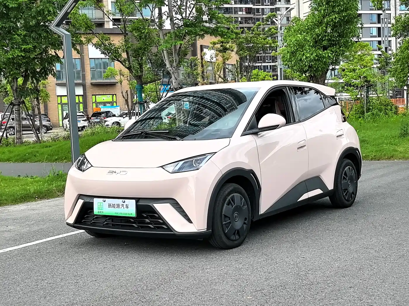 BYD Seagull 2024 Glory Edition 305km Vitality Edition