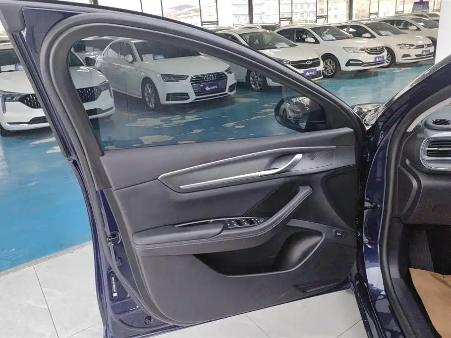 BYD Destroyer 05 2024 Glory Edition DM-i 55KM Luxury фото 6