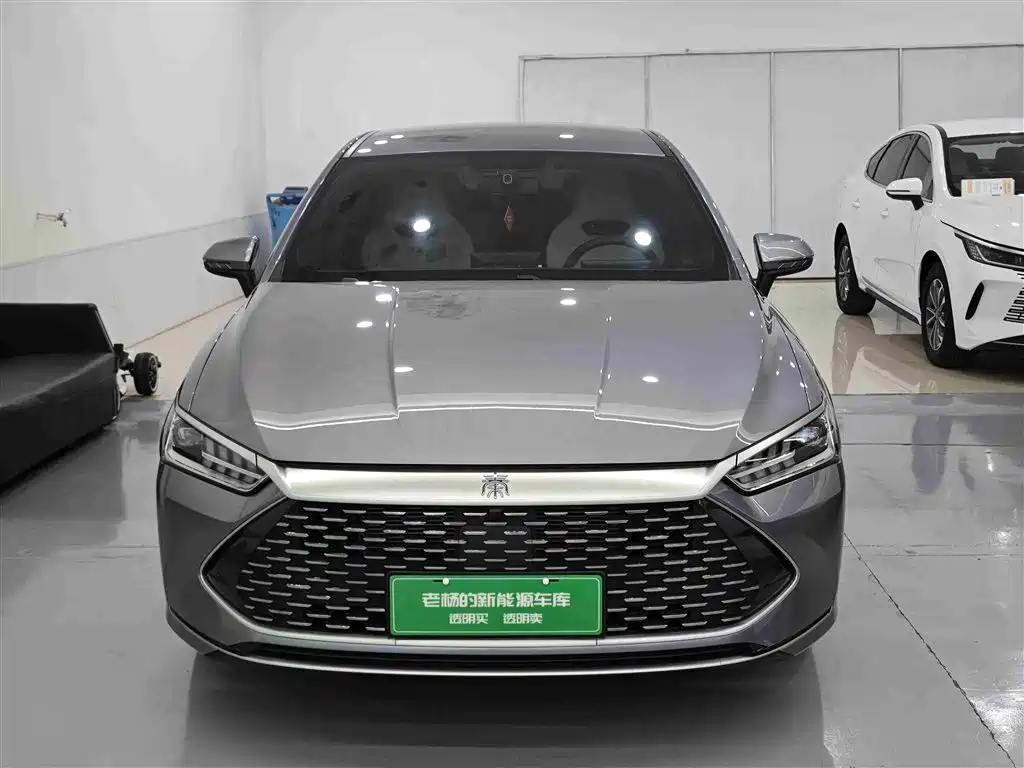 BYD Qin PLUS 2024 Glory Edition DM-i 55KM Leading фото 2
