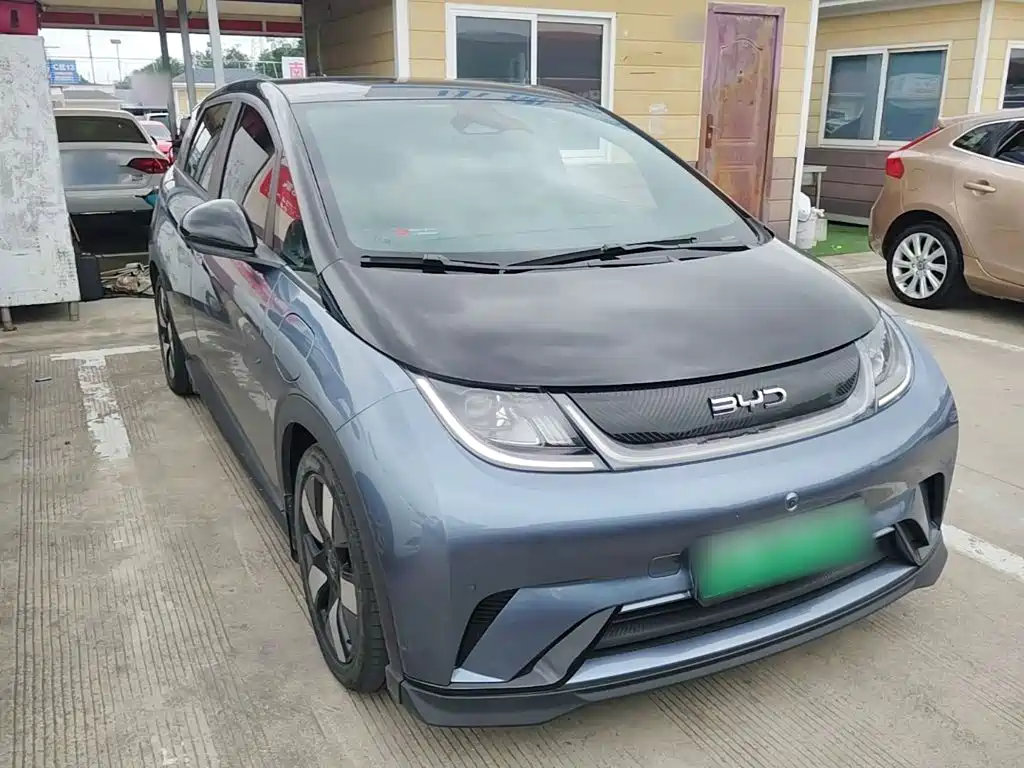Фото 4 - BYD Dolphin
