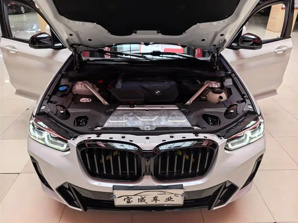BMW X3 2023 xDrive30i Leading M Night Package фото 20