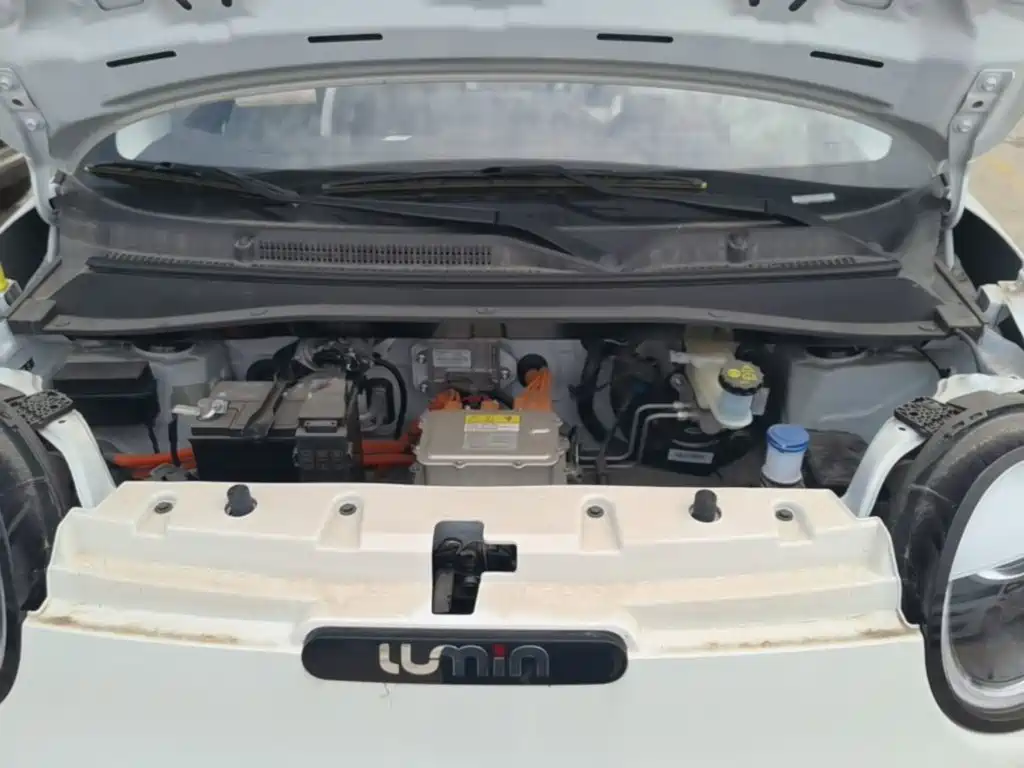 Changan Qiyuan Changan Lumin 2026 2026 Model 205km Treasure Edition