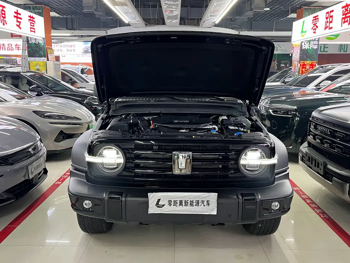 Tank 300 New Energy 2025 2025 Hi4-T 36.7kWh Edition