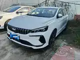 Фото 1 - Geely Binrui