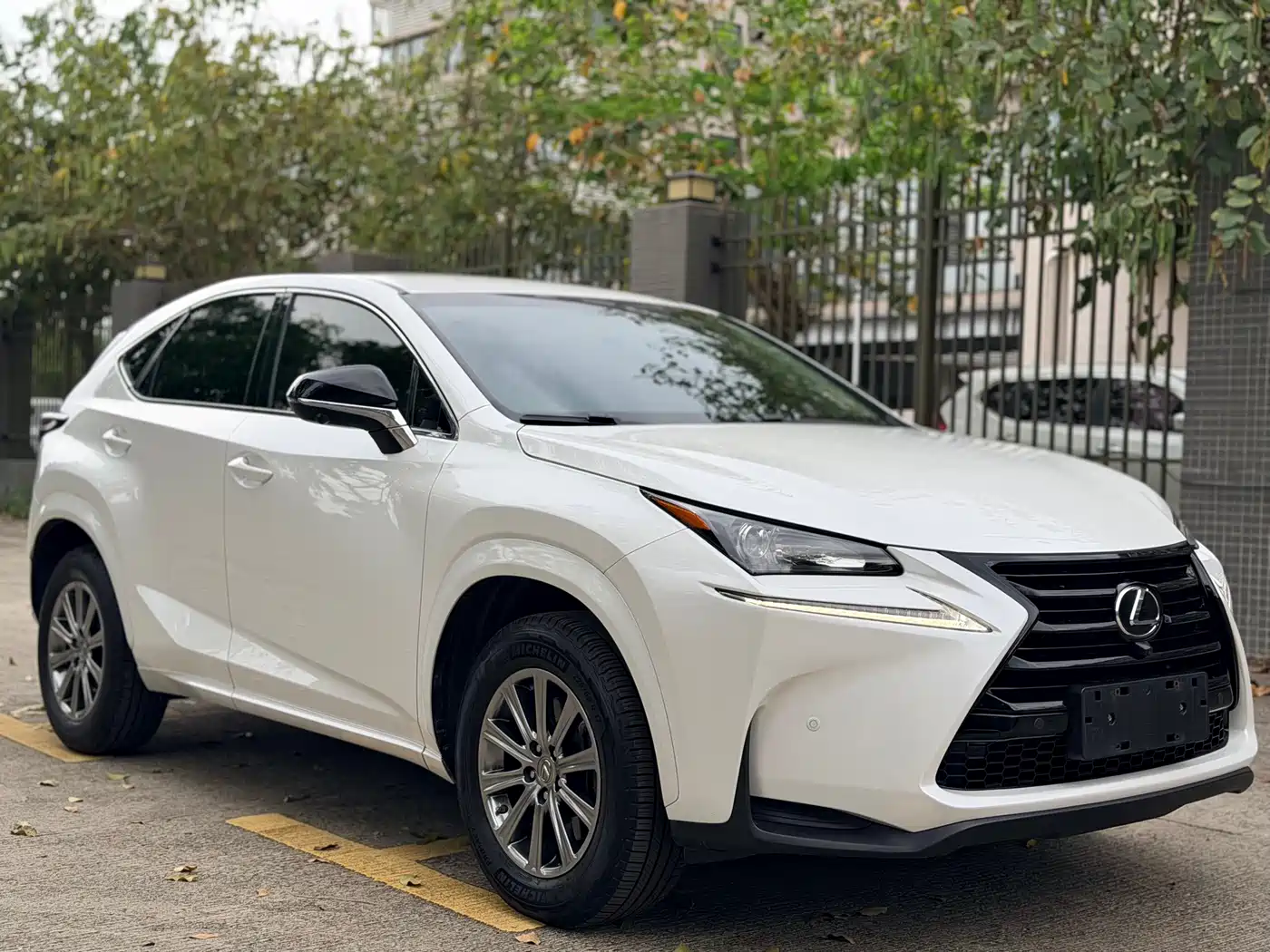 Lexus NX 2016 200 Special Limited Edition