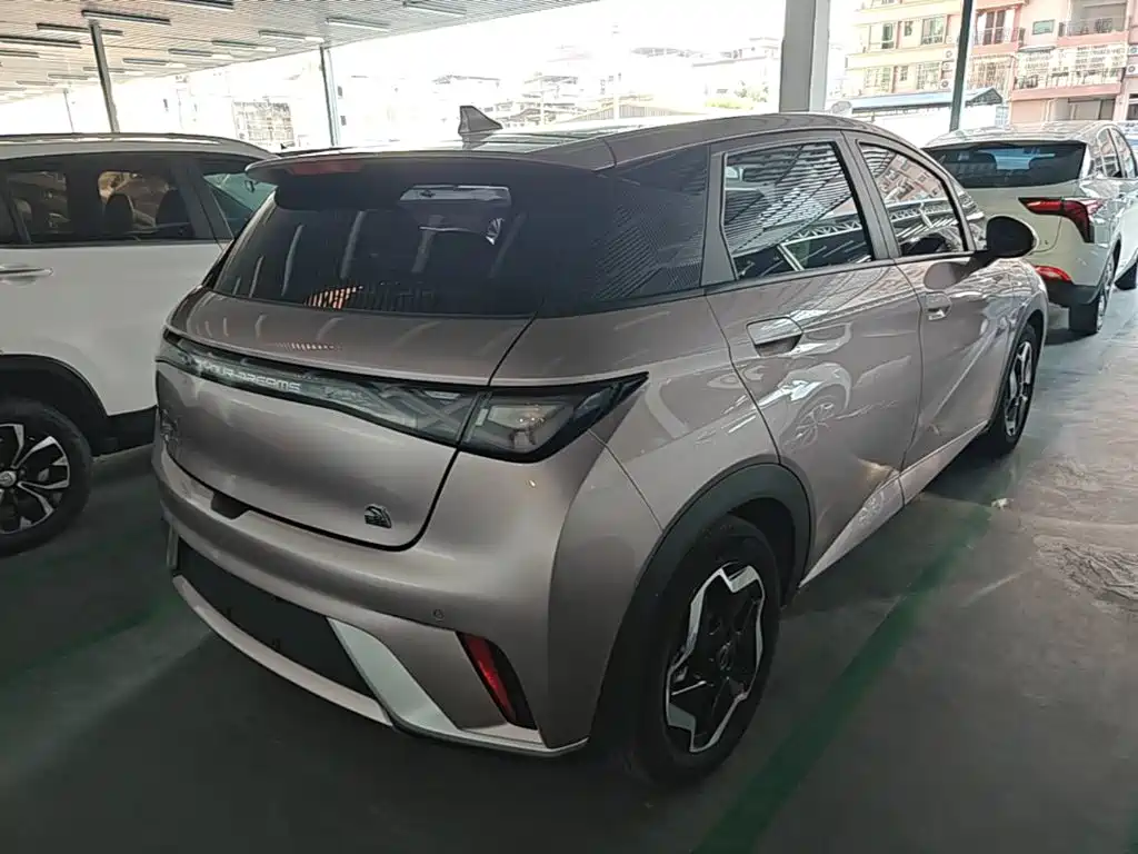 Фото 7 - BYD Dolphin