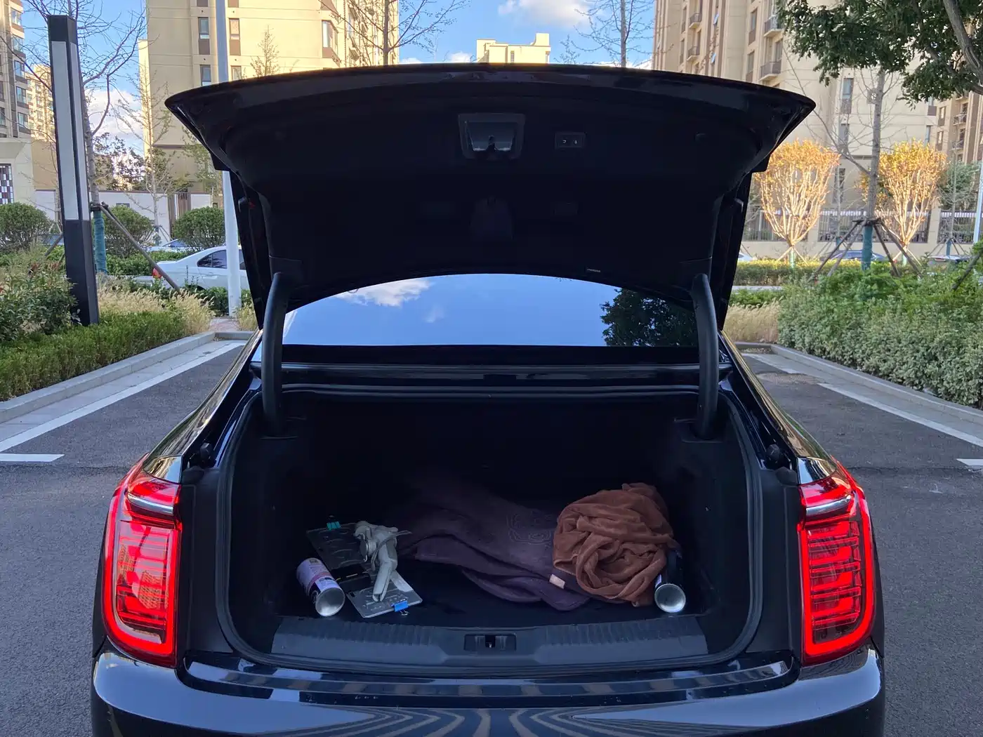Hongqi H9 2020 2020 3.0T Smart Connection Qi Chang Edition