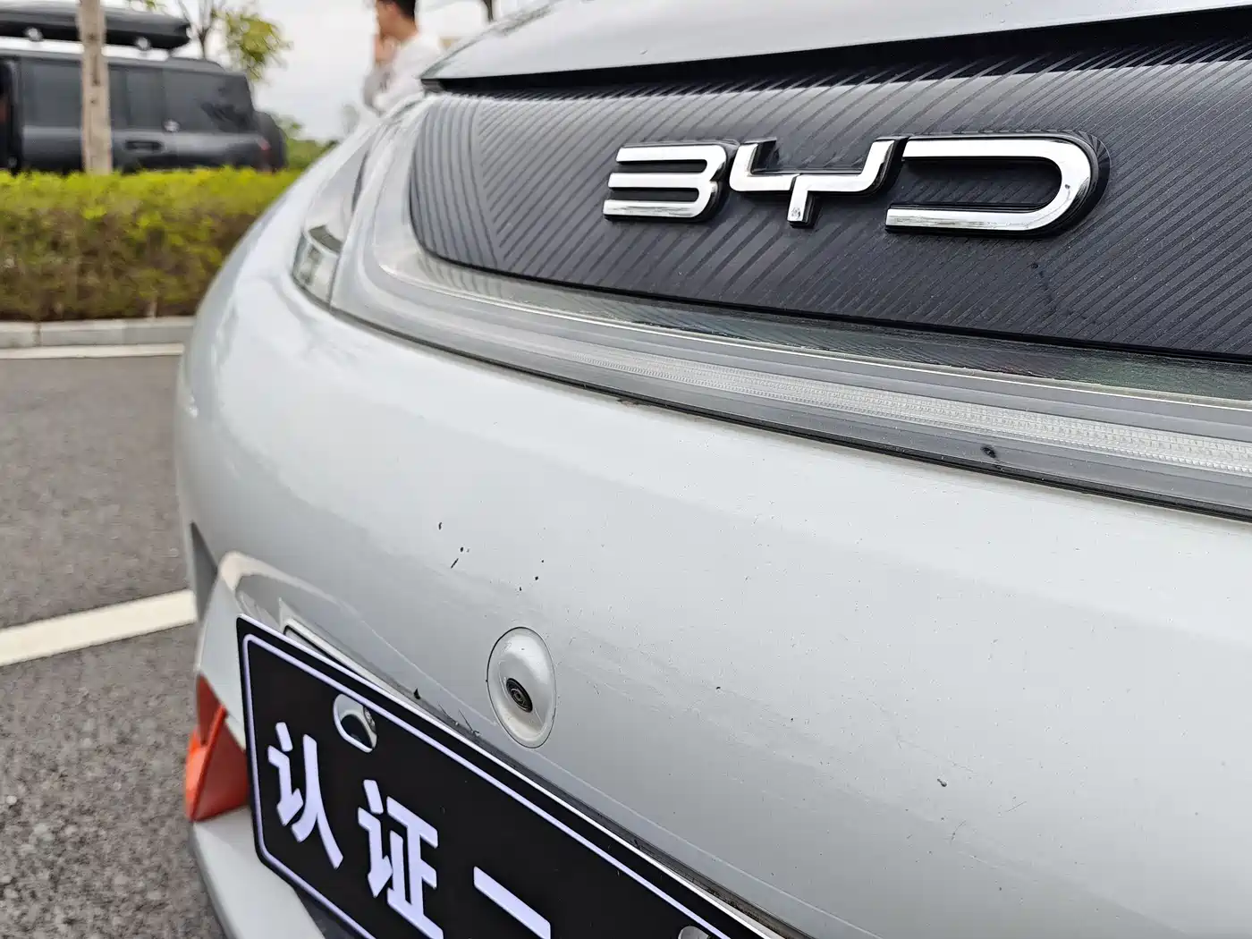 BYD DOLPHIN