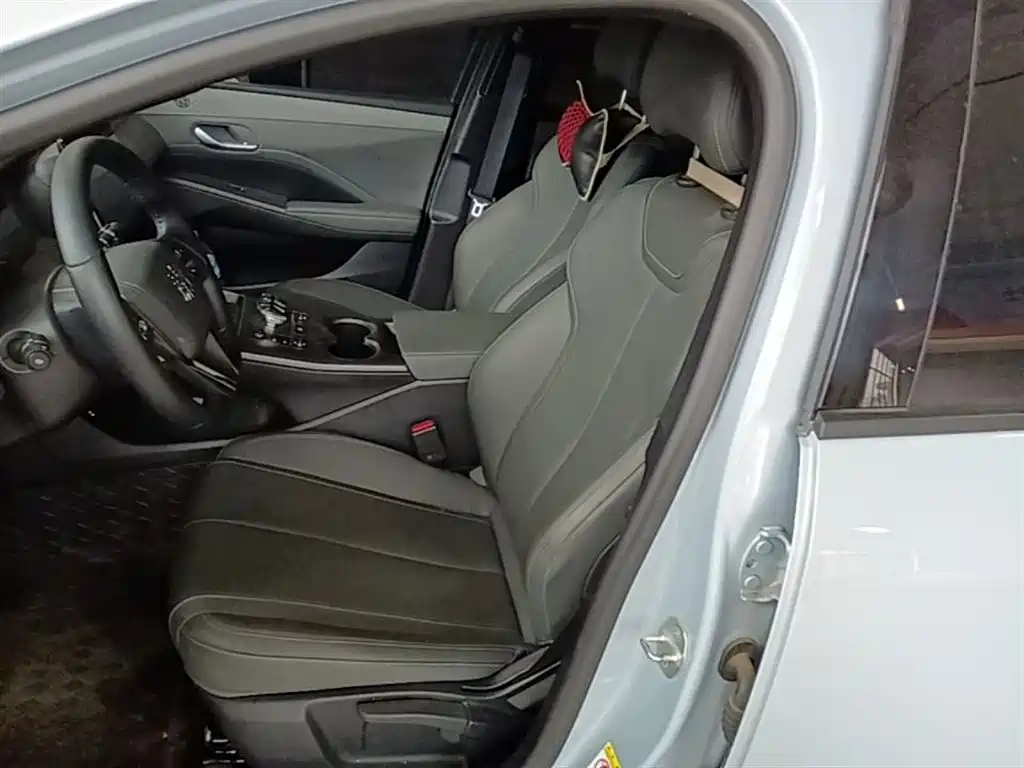 BYD Qin PLUS 2025 DM-i Smart Drive 55KM Leader фото 15