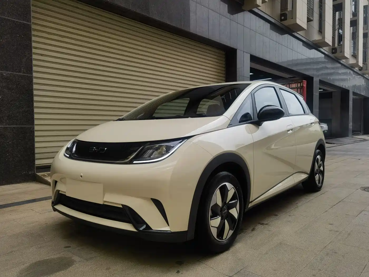 BYD Dolphin 2025 420km Freedom Edition