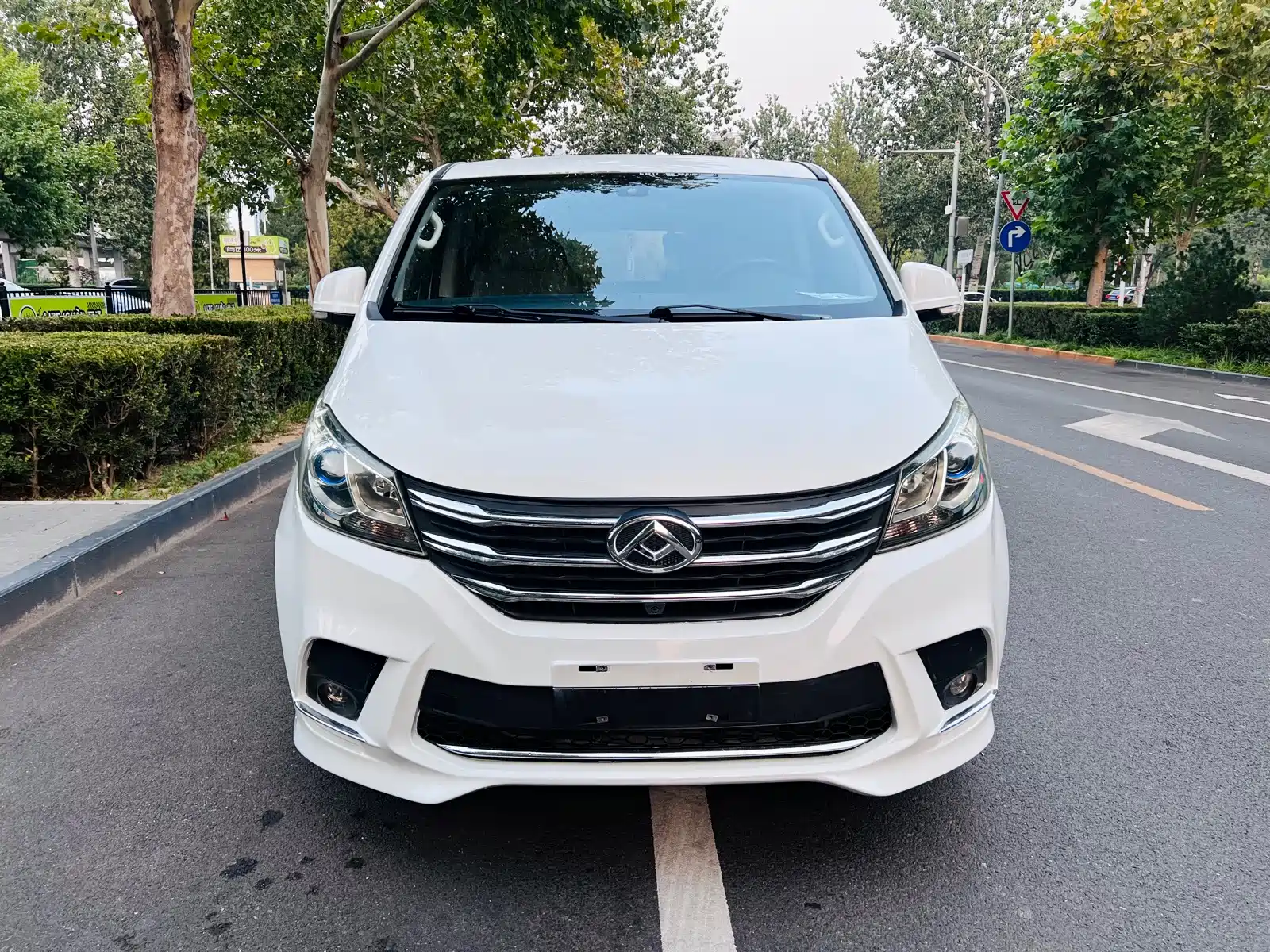Фото 2 - Maxus G10