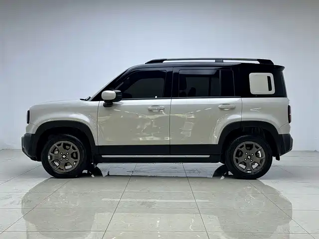 Фото 4 - Baojun Yueye Plus
