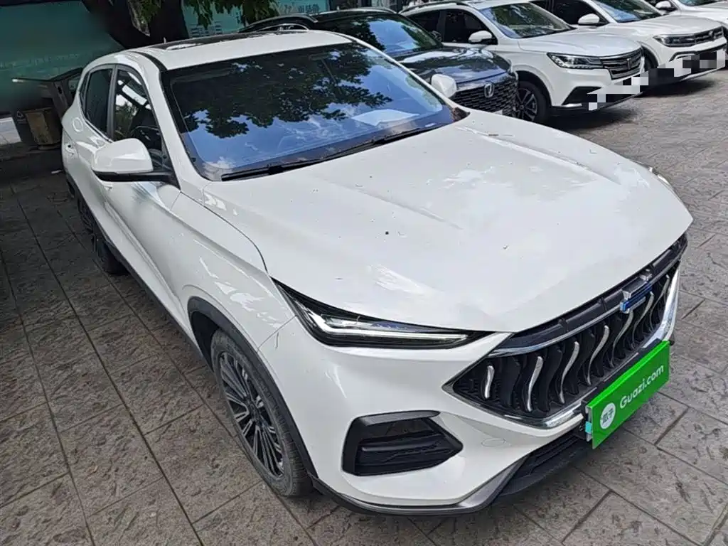 Фото 4 - Changan Oshan Changan Oushang X5