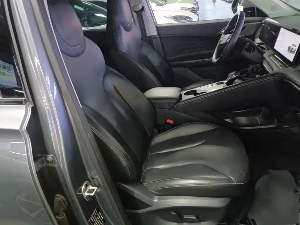 Фото 25 - Roewe RX5