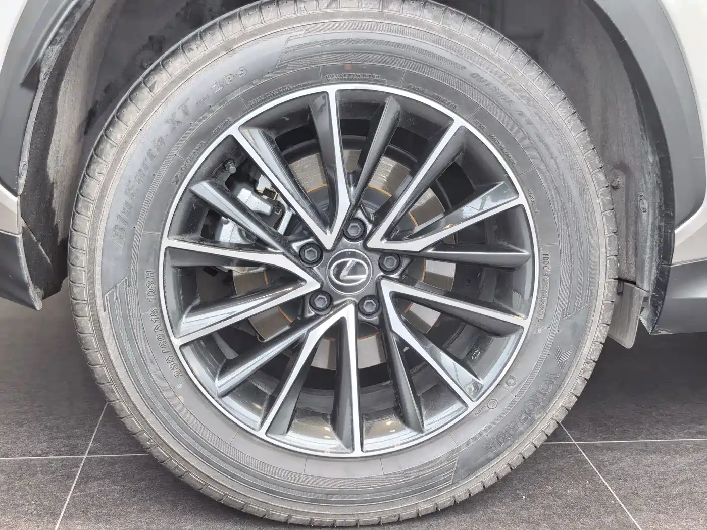 Lexus NX 2023 2023 260 FWD Joy Creation Edition