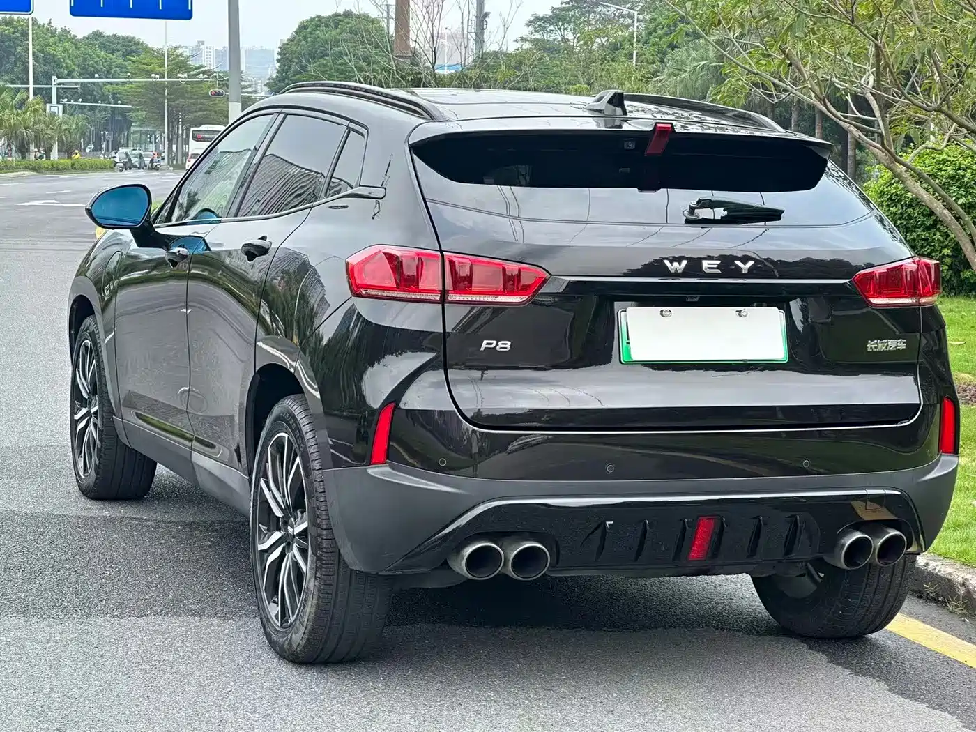 WEY P8 2018 2018 2.0T Flagship Model