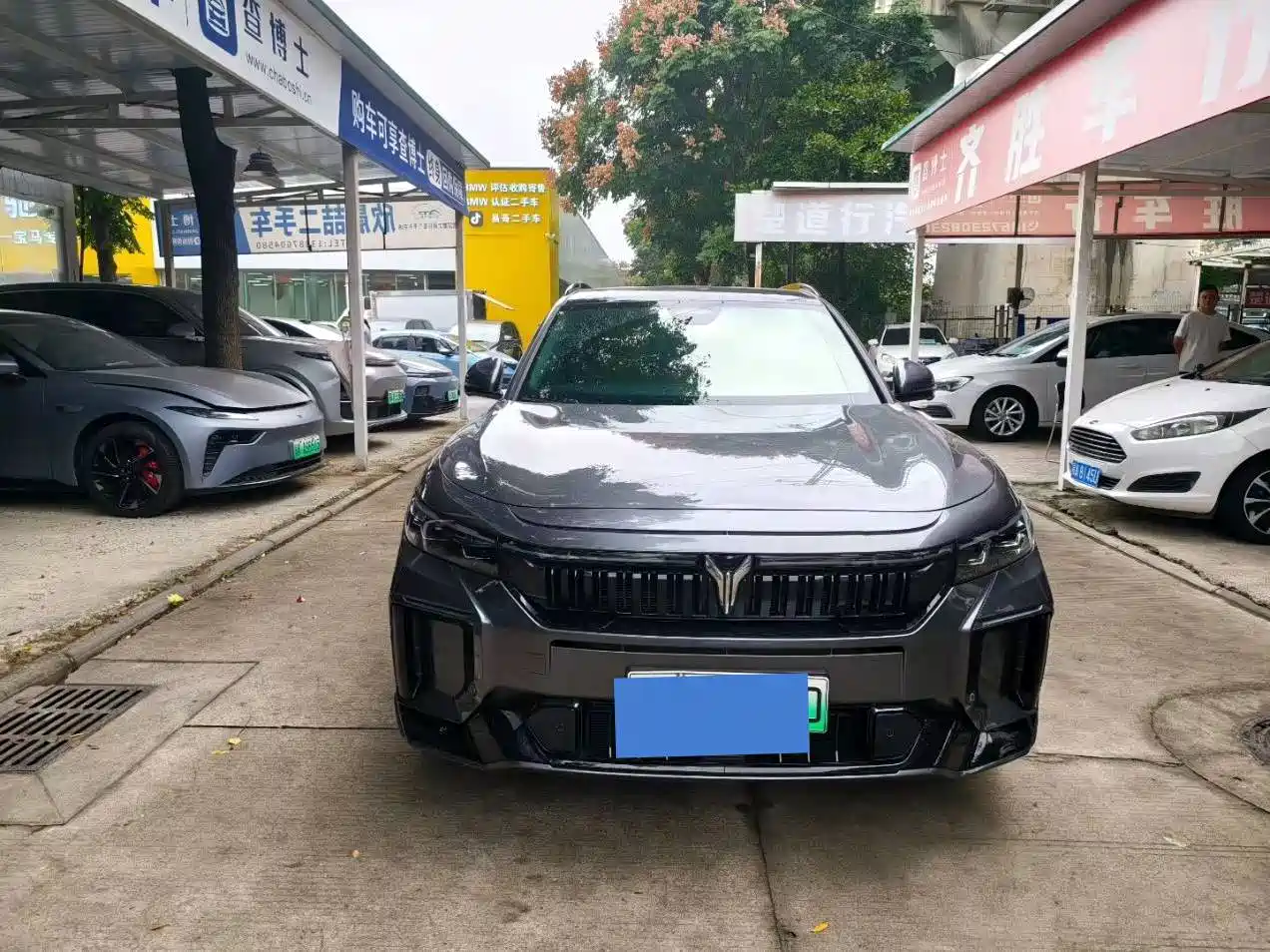 Voyah Free 2025 2025 318 318km RWD Touring Edition
