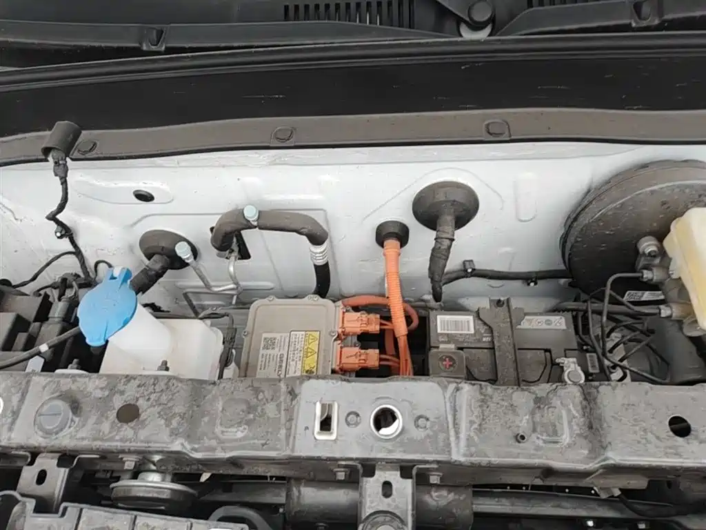 Geely Galaxy Panda 2025 Panda mini 210km Vitality Bear фото 20