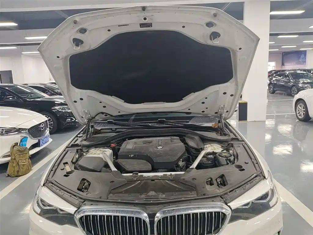 BMW 5 Series 2019 525Li Luxury Package фото 19