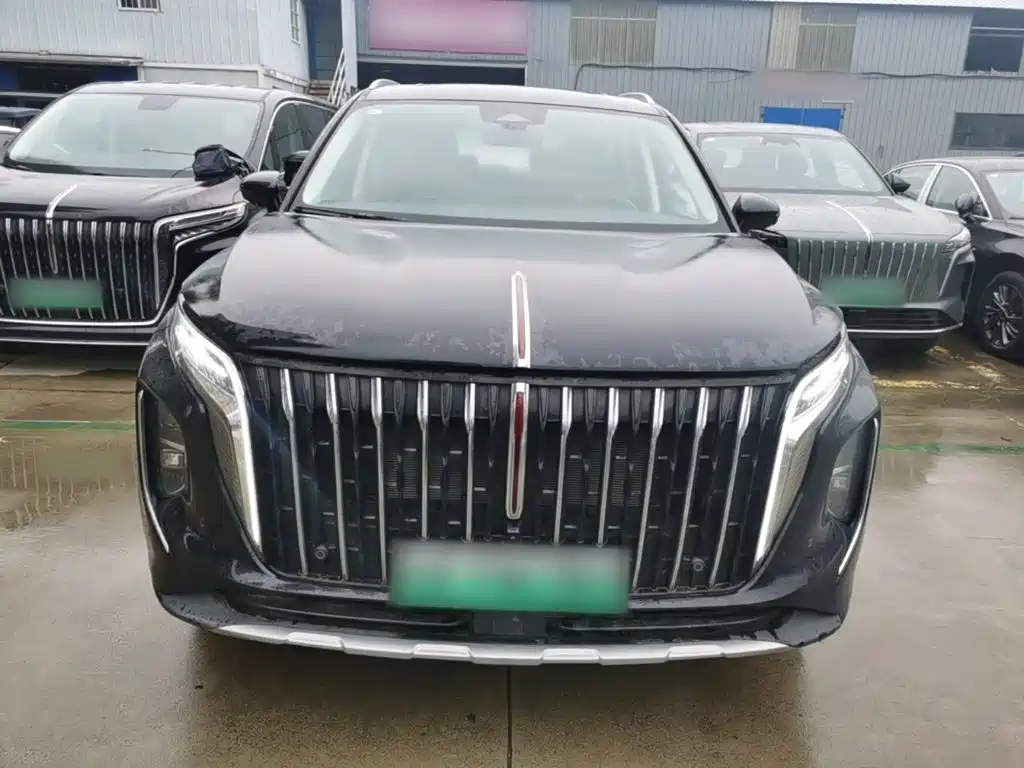 صورة 3 - Hongqi HS7 PHEV