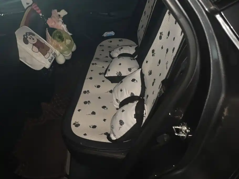 Photo 11 - Changan X5 PLUS