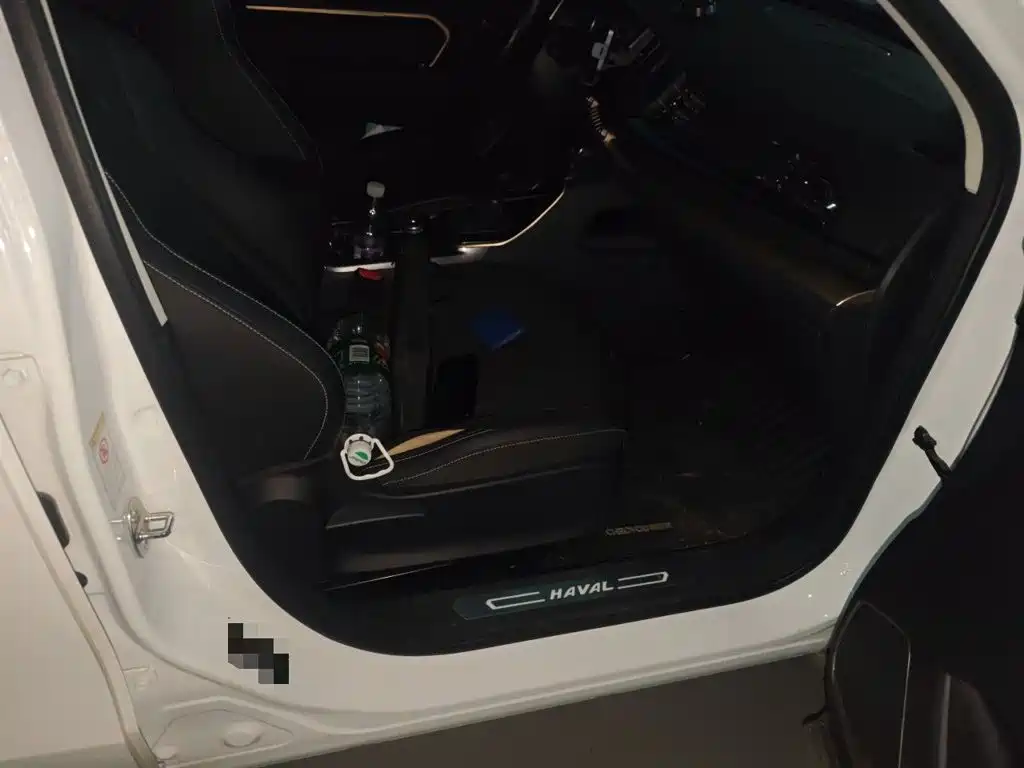 صورة 19 - Haval H6