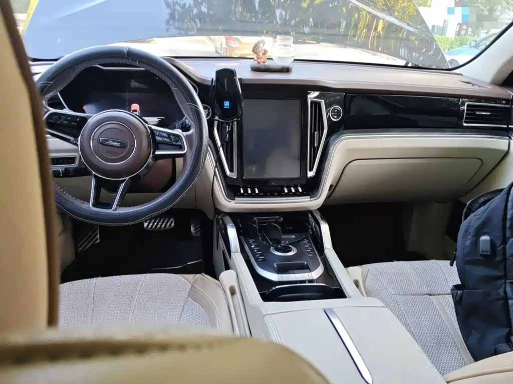 صورة 5 - Zotye T700