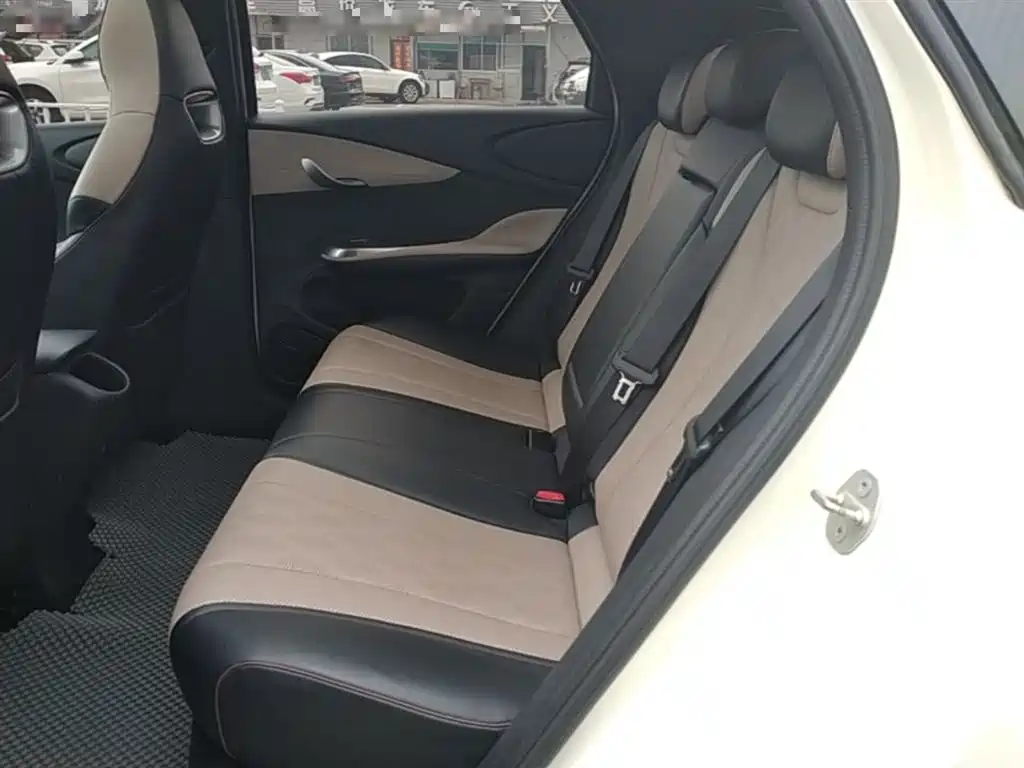 BYD Dolphin 2023 420km Fashion Edition фото 13