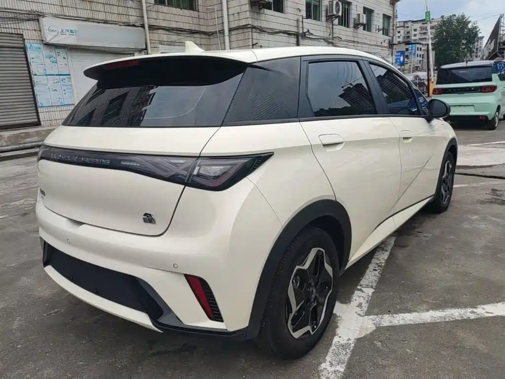 BYD Dolphin 2021 Model 405km Fashion Edition фото 7