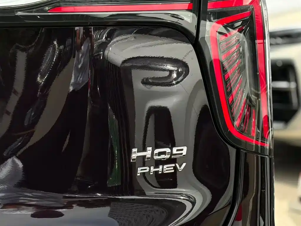 Hongqi HQ9 PHEV 2024 Model 2.0T AWD Luxury Edition фото 4
