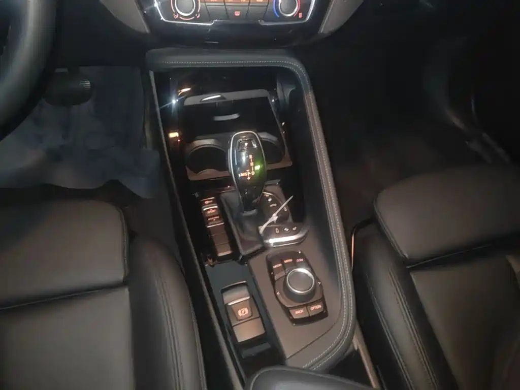 BMW X2 (Import) 2019 sDrive20i M Off-Road Package China VI фото 14