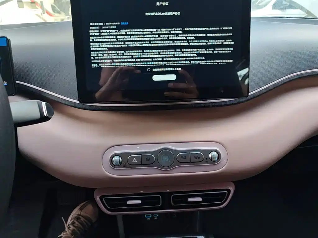 BYD Seagull 2025 Smart Drive Edition 305km Vitality Version фото 13