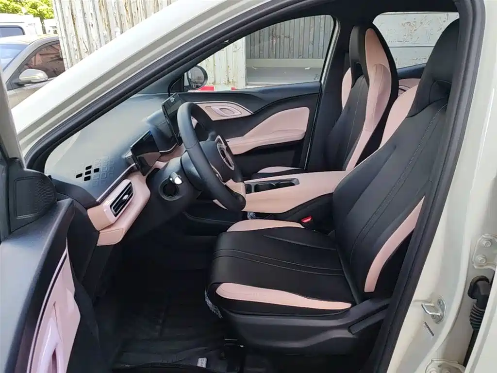 BYD Seagull 2025 Smart Drive Edition 305km Vitality Version фото 15