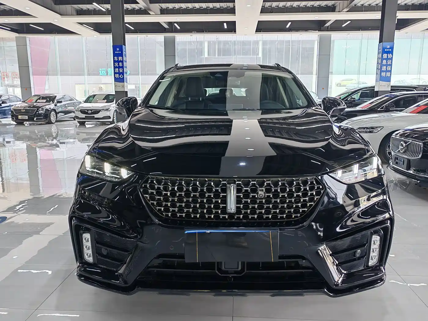 WEI PAI WEI BRAND VV7