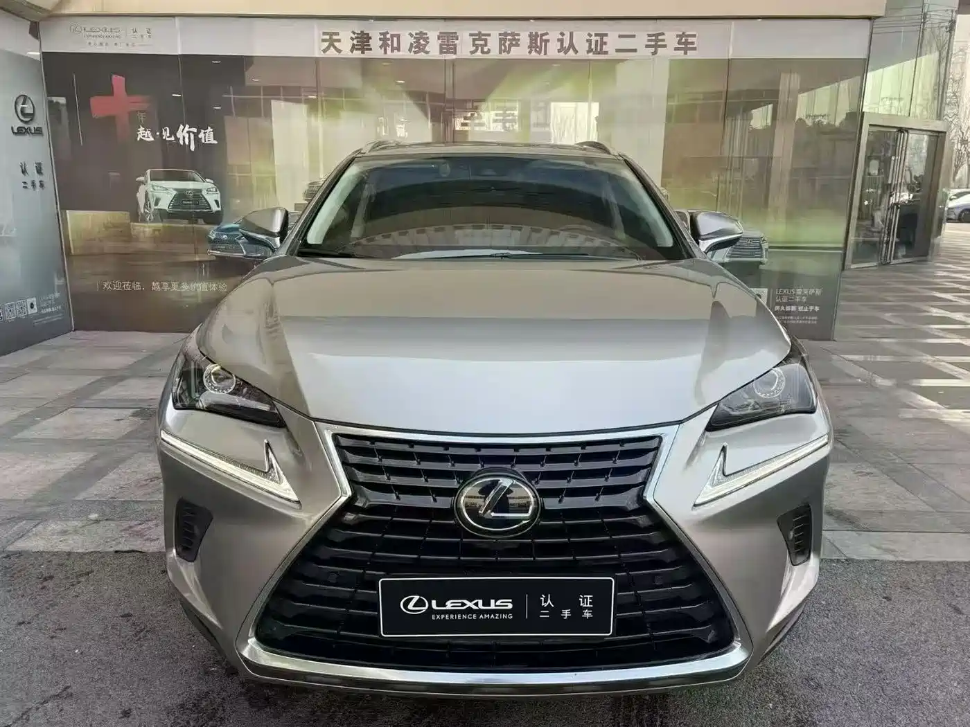 Lexus NX 2018 Model 300h FWD Fengshang Edition China V фото 2
