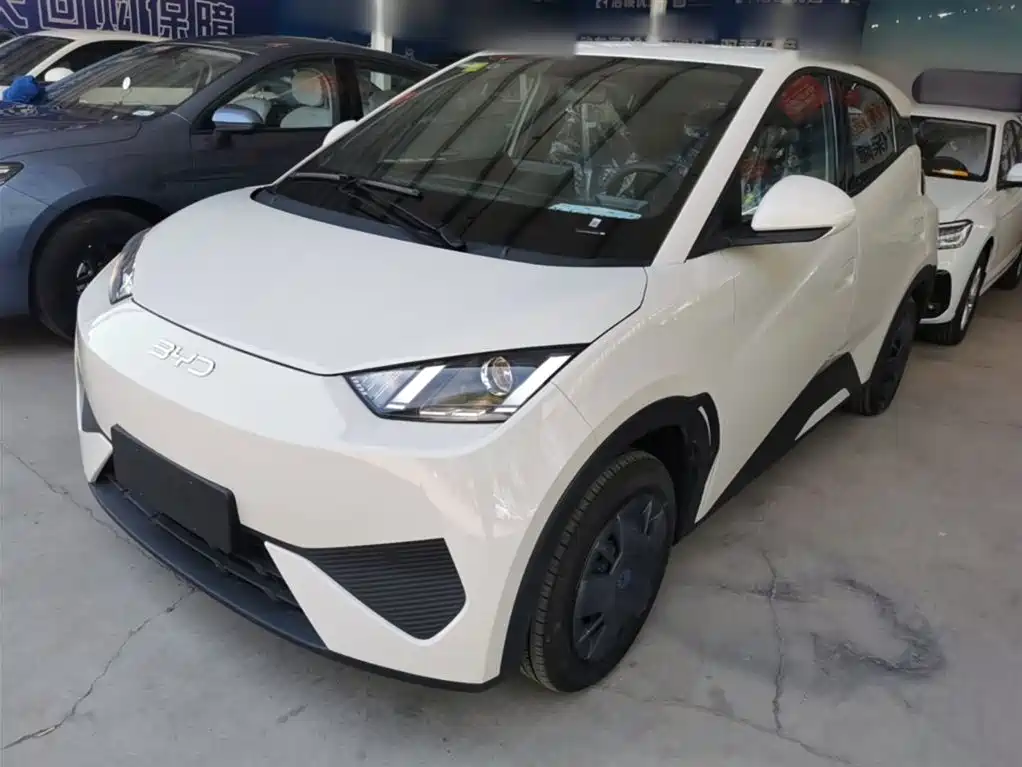 BYD Seagull 2025 Smart Drive Edition 305km Vitality Version