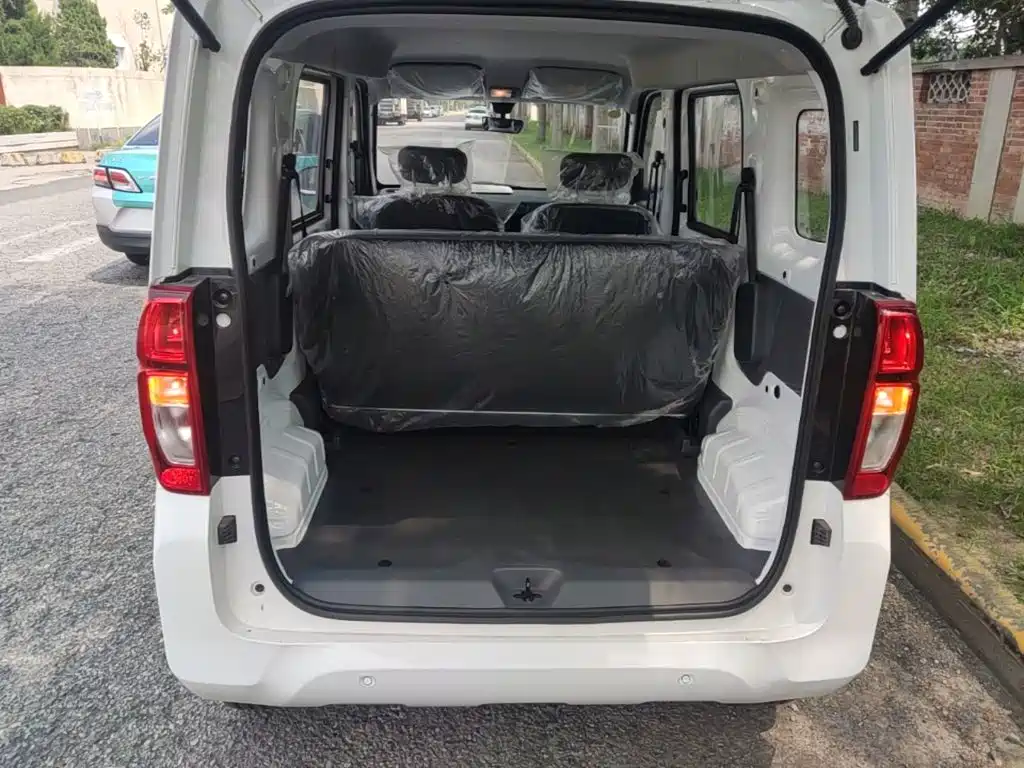 Wuling Motors Wuling Zhiguang NEV 2026 2025 Model 305km Base Version