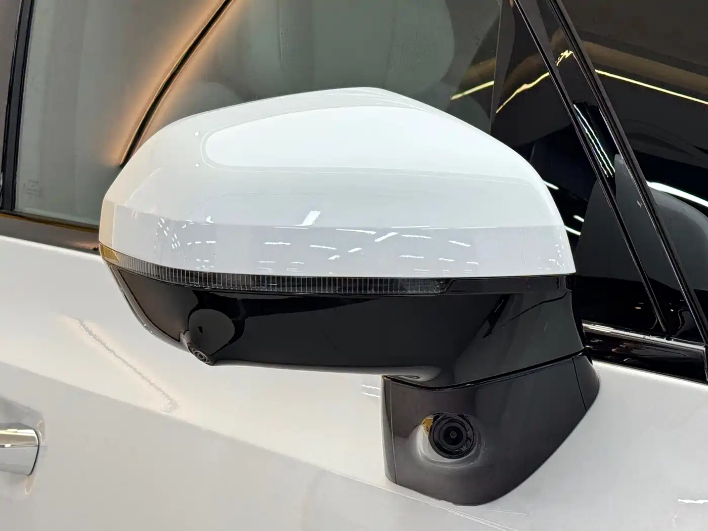 ZEEKR EXTREME KRYPTON 009