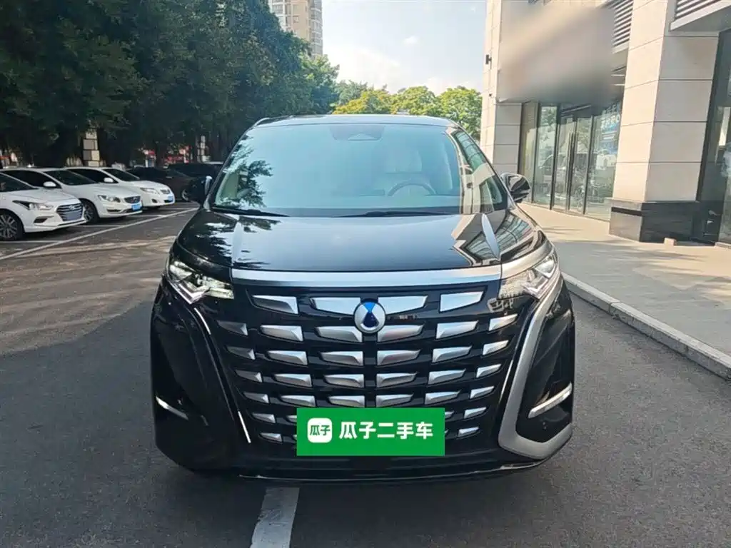 Denza D9 2022 DM-i 1040 Premium фото 3