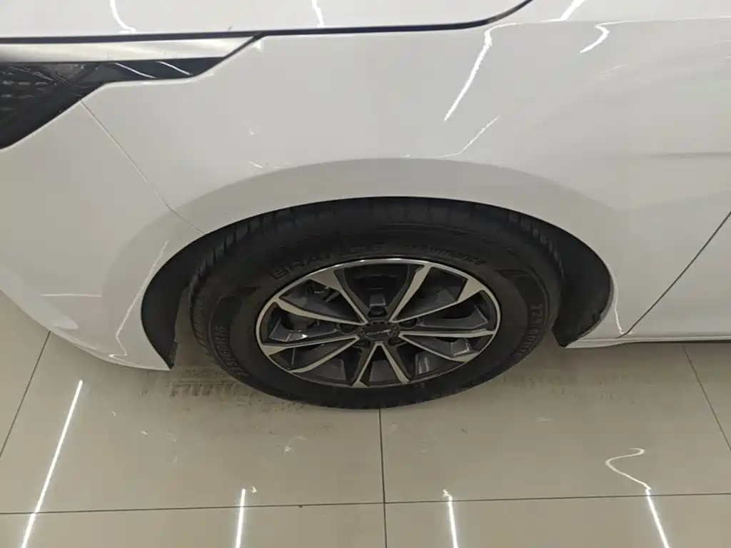 BYD Destroyer 05 2025 2024 Glory Edition DM-i 55KM Luxury