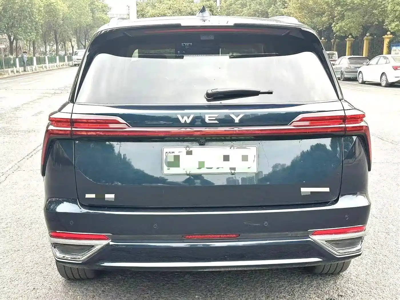 WEI PAI WEI BRAND BLUE MOUNTAIN