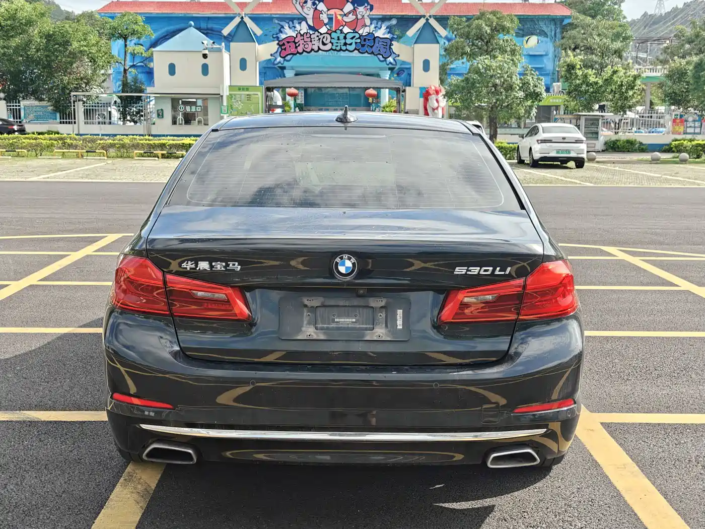 BMW 5 Series 2020 530Li Premium Luxury Package фото 5