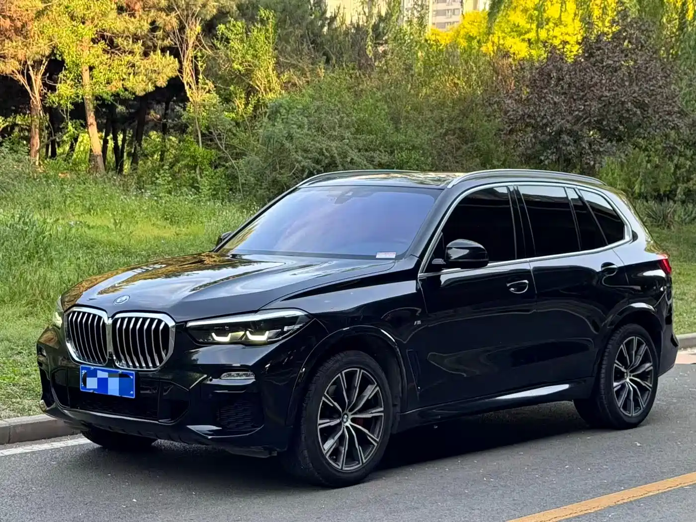 BMW X5 (Import) 2021 xDrive30i M Sport Package