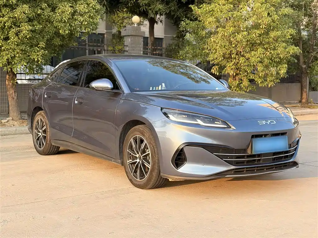 BYD Seal 06 New Energy 2024 DM-i 80KM Prestige фото 4