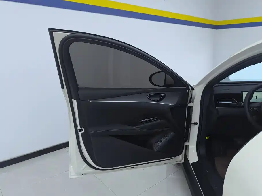BYD Seal 06 New Energy 2025 2024 DM-i 120KM Honor