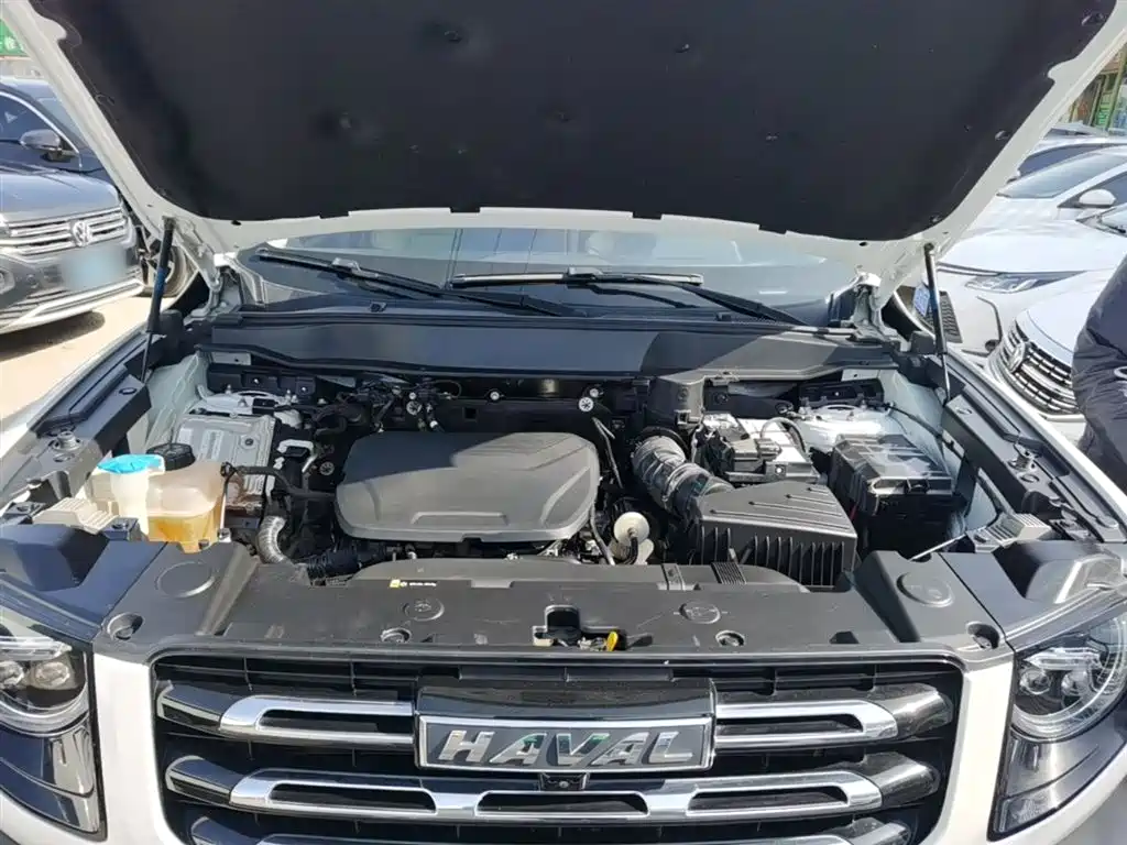 Haval Big Dog 2022 1.5T DCT FWD Border Collie Edition фото 20