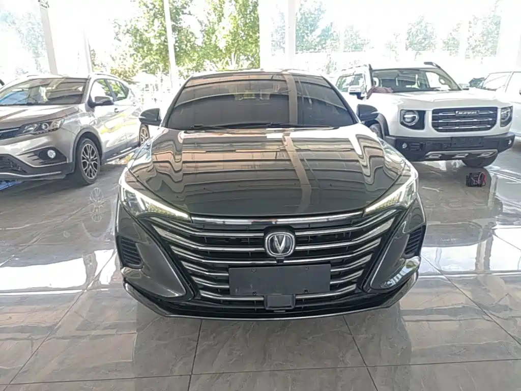 Фото 3 - Changan Eado